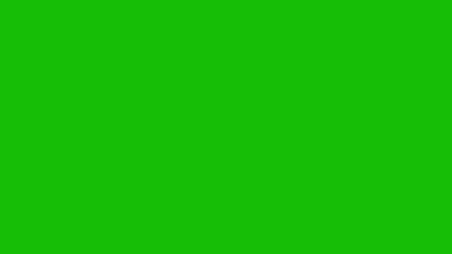 Digital Fingerprint Scan and Biometric Security Verification Animation Green Screen. 4K Resolution