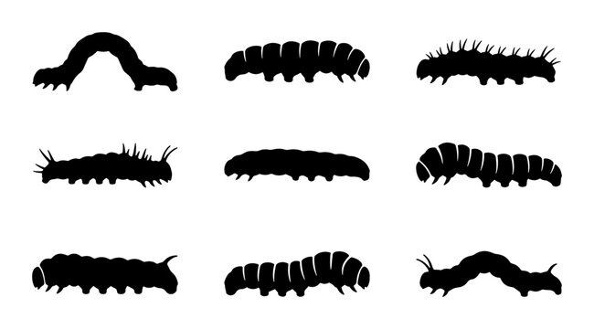 Diverse Caterpillar Silhouettes, Insect Larva Vector Icons, Nature Wildlife Graphics, Black and White