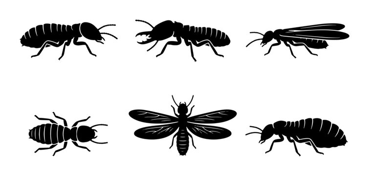 Termite Silhouettes Collection, Pest Control Icons, Insect Vector Set