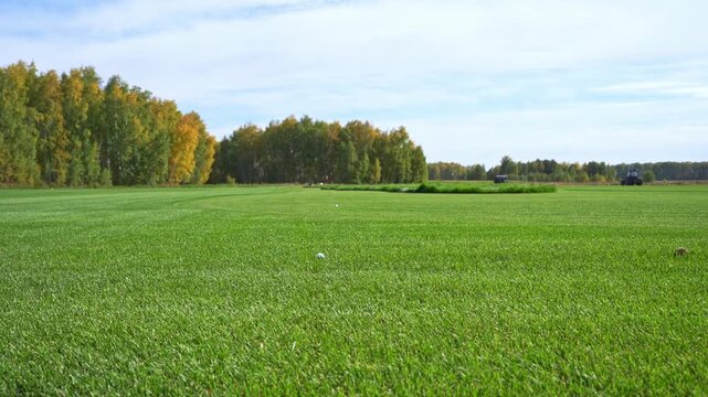 Focused man practicing golf swing on driving range with greenery in background. Outdoor recreational activities and sports training.