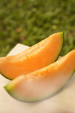cantaloupe melon