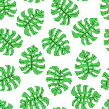 Vector seamless pattern with hand drawn monstera leaves. Cute jungle design for textile, backgrounds, wallpaper, wrapping paper, digital prints.