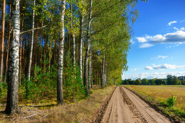 Pierwsze dni jesieni w Puszczy Knyszyńskiej, Podlasie, Polska © podlaski49