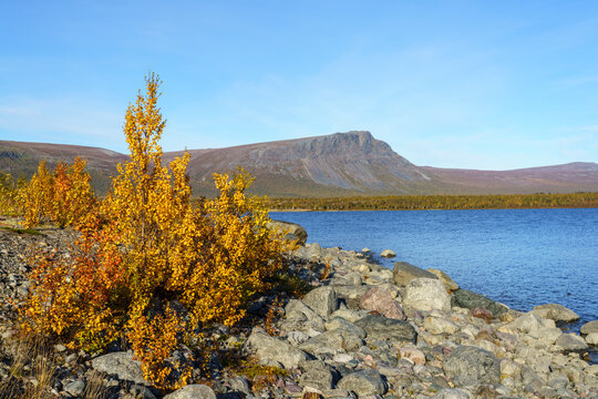 Autumn season in Stora sj&ouml;fallet national park