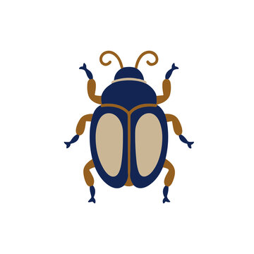 Stylized beetle illustration