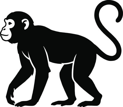 Black monkey vector graphic illustration featuring a cute walking chimpanzee silhouette with long curly tail isolated on white background for creative wildlife design projects and wildlife conserve