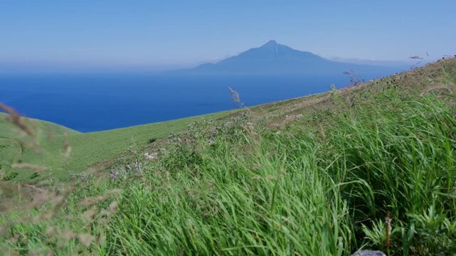 Mount Rishiri Volcanic Peak Rising Above Ocean View Captured from Rebun Mountain Ridge Meadow in Summer with Blooming Alpine Flowers, Hokkaido, Japan