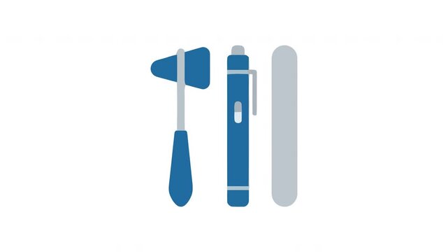 Medical practitioners carry essential physical examination tools including a reflex hammer and a penlight for neurological assessments during patient checkups conducted at a hospital or health
