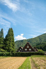 世界遺産、白川郷合掌集落の秋、三つ子合掌と稲穂 © Hiro074