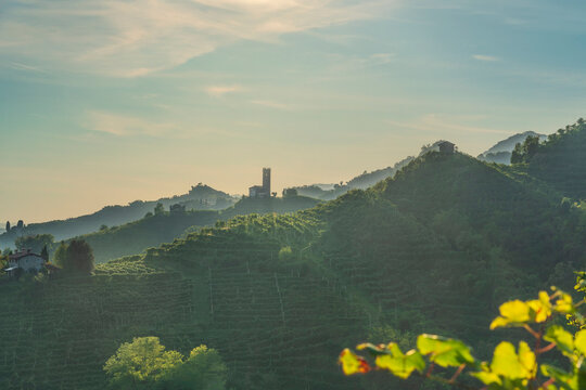 Prosecco Hills Vineyards and San Lorenzo Church, Veneto