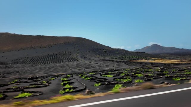 Volcanic vineyards and mountains in La Geria, Lanzarote, Canary Islands
