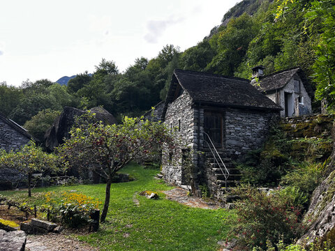 Traditional stone houses and apple tree in the alpine village of Sabbione, Switzerland, surrounded by lush green forest and mountain scenery