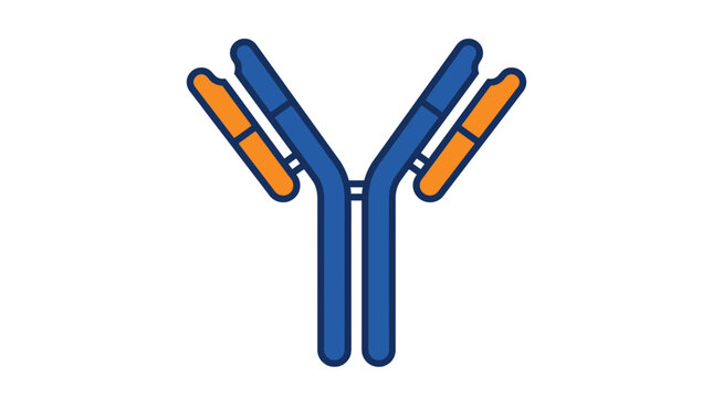 Graphic illustration of antibody protein molecule structure for scientific research and medical education
