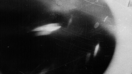 Obraz premium Old film texture with scratches, noise and light leaks. Realistic transparent overlay film texture in black-white, dust and grain. Distressed retro movie or photo negative effect of cinema nostalgia