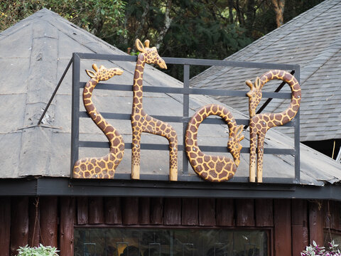 Stylized Giraffe Themed Souvenir Shop Sign at Giraffe Centre Nairobi