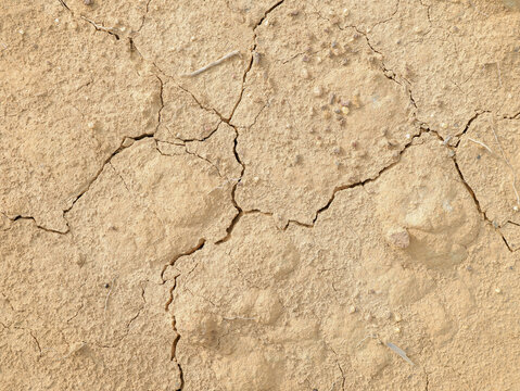 Dry cracked earth soil texture close up, arid clay ground background for climate change concept and environmental design