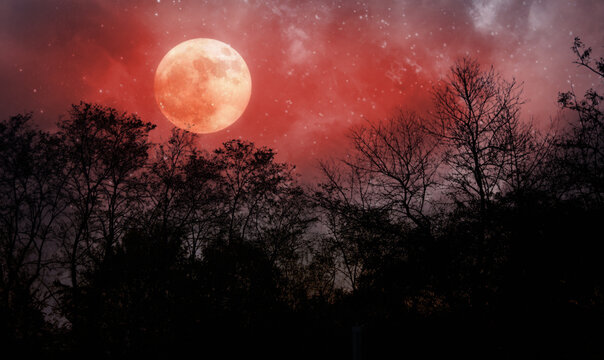 halloween background with red moon and dead trees