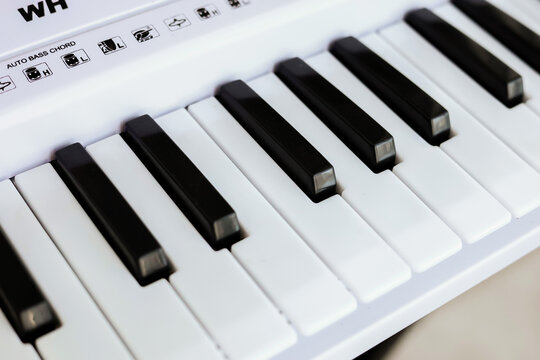 Close‑up of the synthesizer keys.