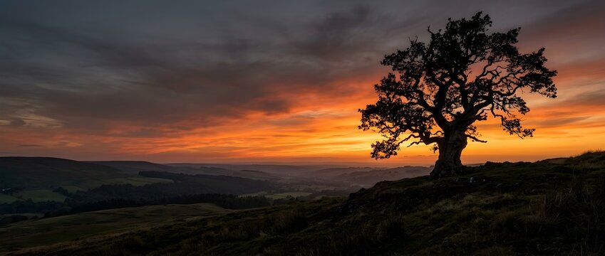 A solitary tree silhouette standing against a dramatic fiery sunset sky over rolling hills, symbolizing solitude, loss, and quiet reflection.