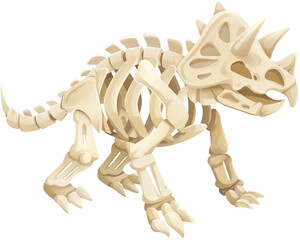 Triceratops Dinosaur Skeleton Fossil Illustration © Hydric
