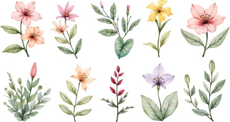 Obraz premium Assorted watercolor flowers in pastel tones with delicate botanical illustrations.