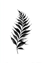 Obraz premium Monochrome watercolor painting of a fern leaf on a white background.