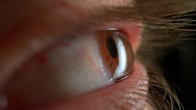 Extreme macro close-up of a brown human eye naturally blinking, revealing detailed iris patterns, eyelashes, reflections, and realistic eye movement in sharp focus.