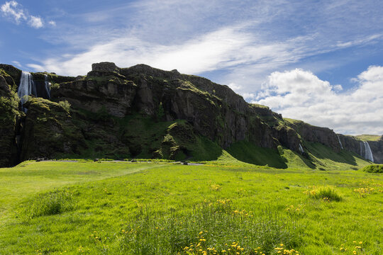 Gljufrabui and distant Seljalandsfoss descend along dark cliffs in South Iceland, above a sunlit summer meadow with yellow wildflowers beneath blue sky and white clouds.