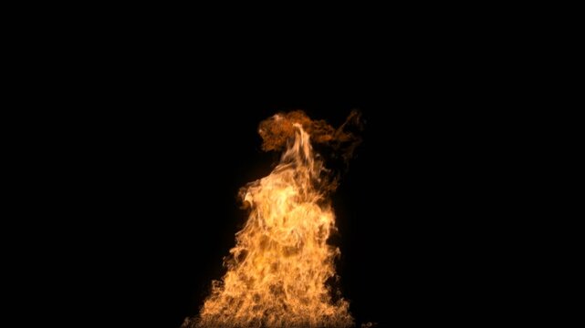 Fire Pack