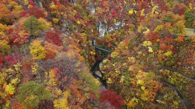 宮城県 鳴子峡の紅葉風景と大深沢橋 空撮ドローン映像 Aerial Shot of Autumn Colors at Naruko Gorge, Miyagi Japan
