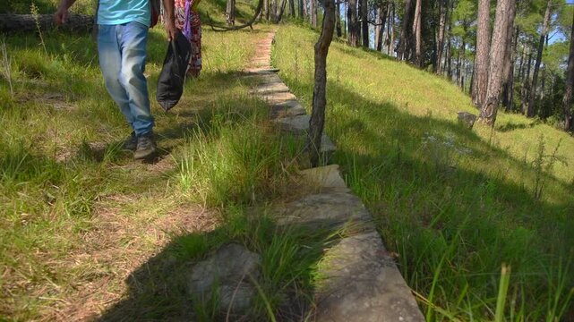 Trekkers Walking Through Pine Forest Trail in Uttarakhand, India