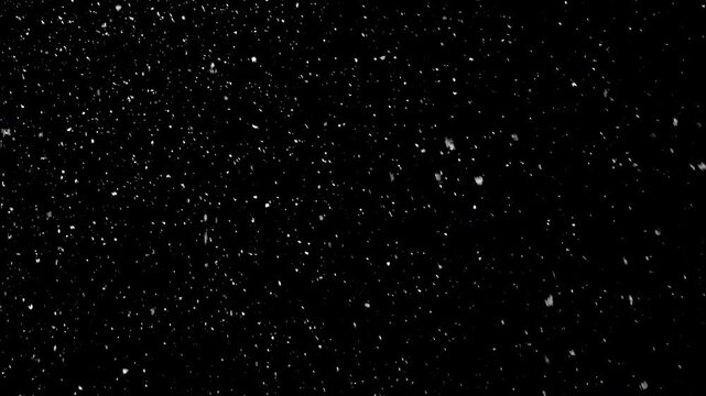 Natural real snow falling , isolated on black background