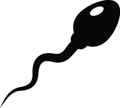 Detailed vector illustration of a single human sperm cell silhouette icon isolated graphic design