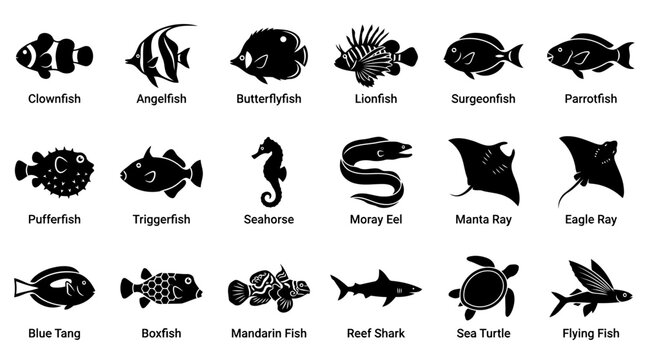 Tropical fish silhouettes with names including clownfish angelfish lionfish and seahorse.