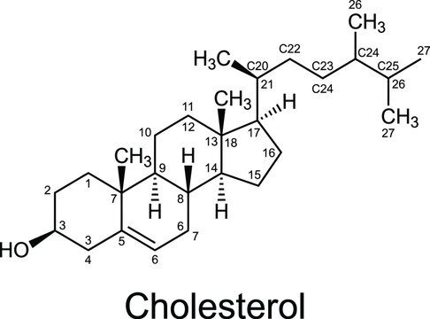 Detailed vector illustration of cholesterol chemical structure diagram with atomic labels and numbered rings
