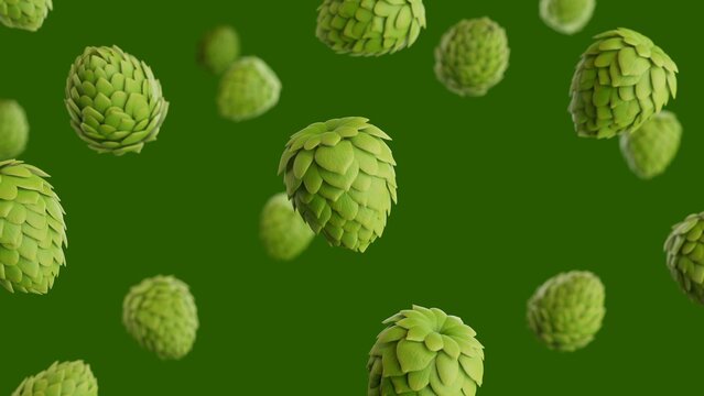 Floating Green Hop Cones on Dark Green Background