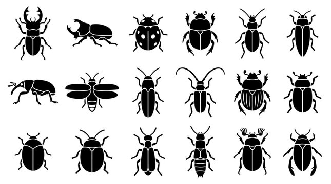 Comprehensive collection of beetle silhouettes for biological classification and research.