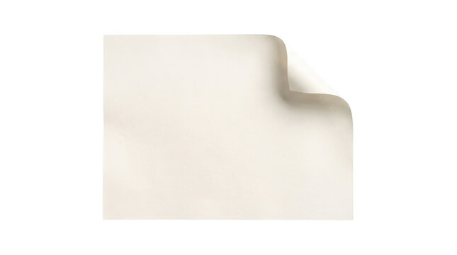 A single blank white sheet of paper with a curled top right corner showing texture and depth presented as an isolated on transparent background