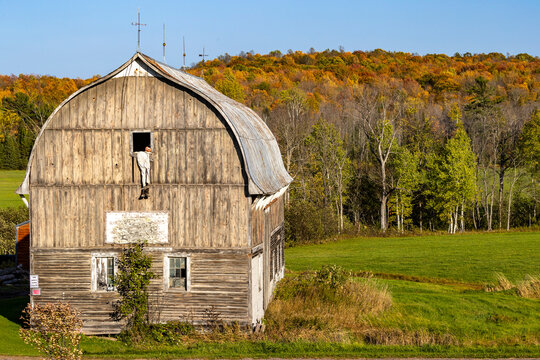 Rustic barn with fall color near Bruce Crossing, Michigan, USA
