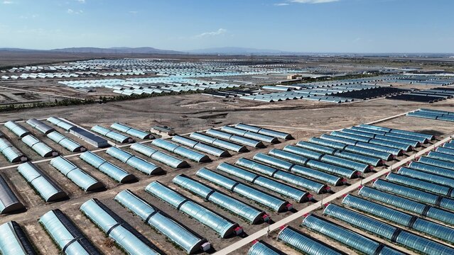 aerial view of neat rows of agricultural greenhouses