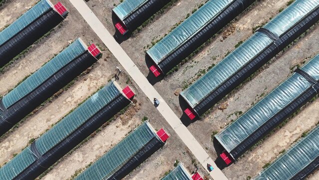 aerial view of neat rows of agricultural greenhouses