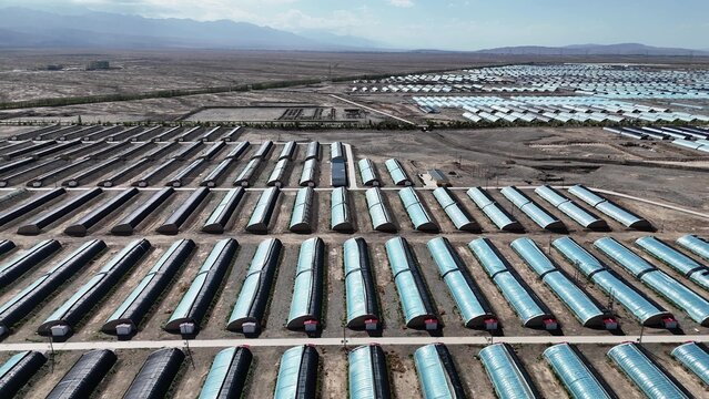 Neatly arranged agricultural greenhouses in the desert area