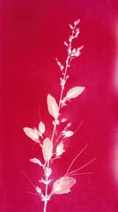 Obraz premium Elegant white floral silhouette on vibrant red background, mobile wallpaper.