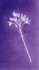 Obraz premium Purple-toned floral silhouette mobile wallpaper with a minimalist style.