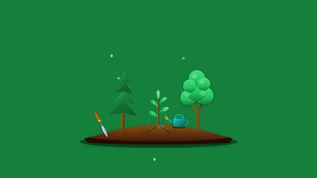 A charming 3D isometric motion graphic animation featuring a small forest ecosystem with various trees,  a watering can,  and a garden trowel on a circular patch of soil over a green background.