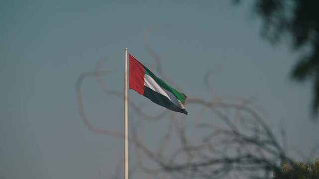 UAE flag flying above verdant greenery under a clear sky.