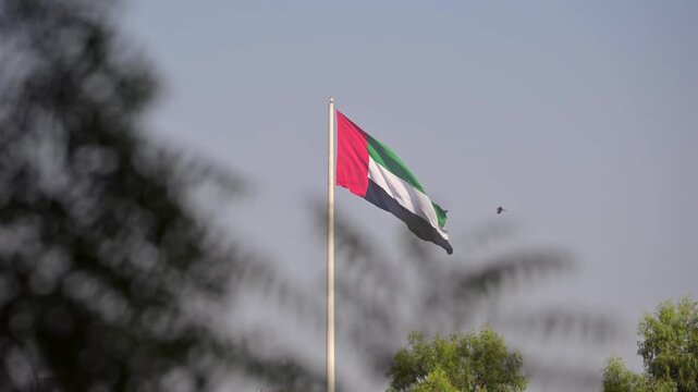 UAE flag flying above verdant greenery under a clear sky.