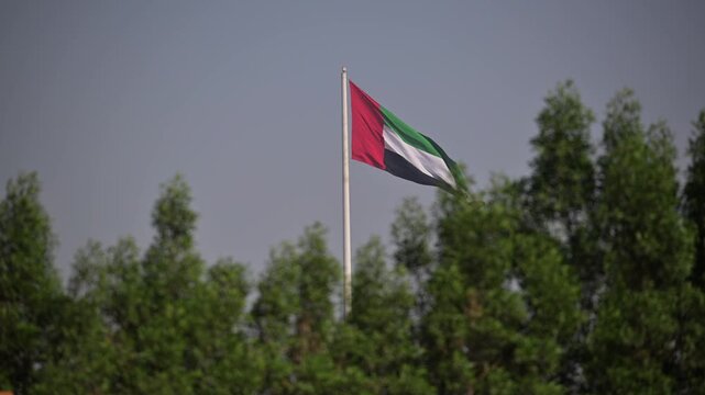 UAE national flag fluttering proudly over a canopy of green trees.