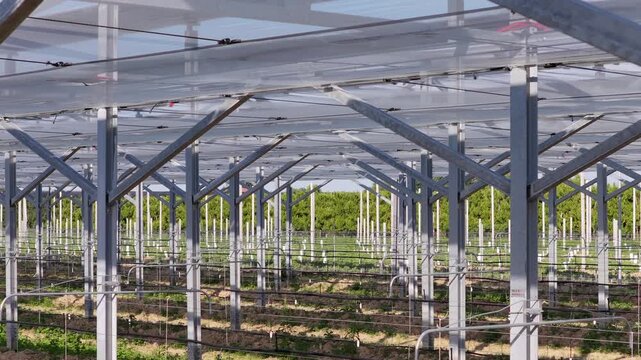 Aerial view of agricultural netting structure with metal support beams and irrigation lines over rows of crops in Faenza, Emilia-Romagna, Italy.