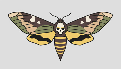 Obraz premium Detailed illustration of a death's-head hawkmoth with a skull pattern on its back, isolated on gray background.
